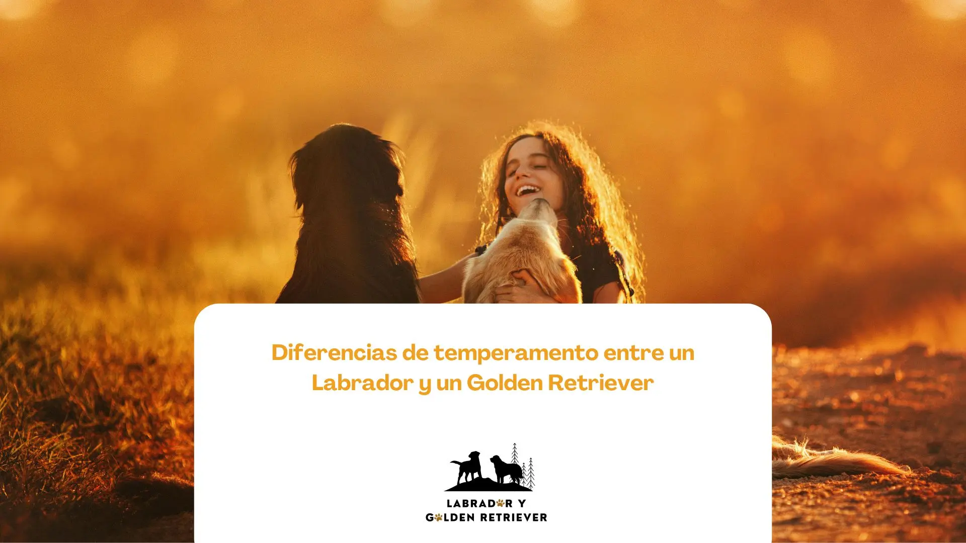 Niña jugando con labrador y golden: Diferencias de temperamento