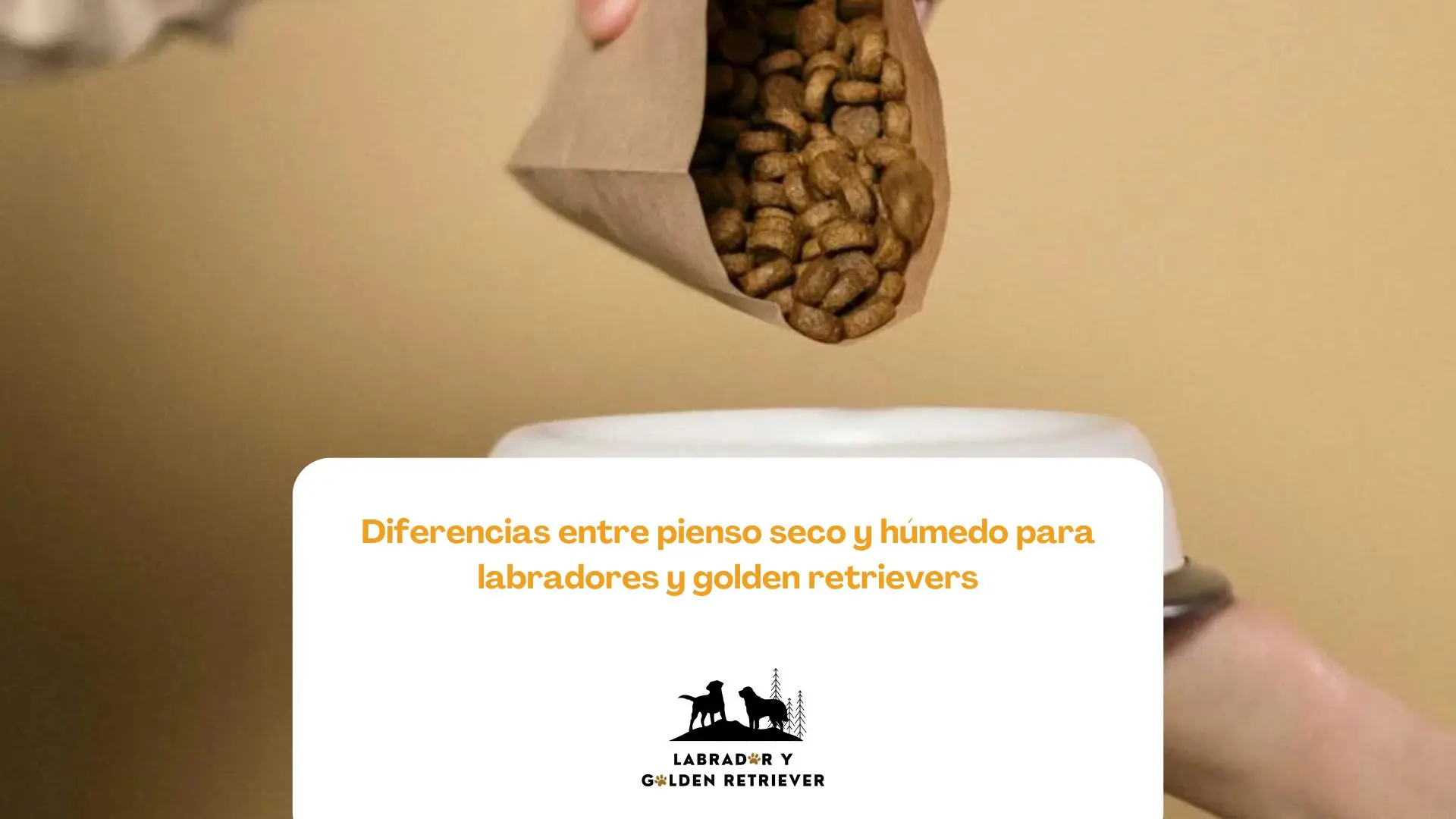 Imagen de pienso de perros usada para blog de Labrador y Golden con el título de: Diferencias entre pienso seco y húmedo para labradores y golden retrievers
