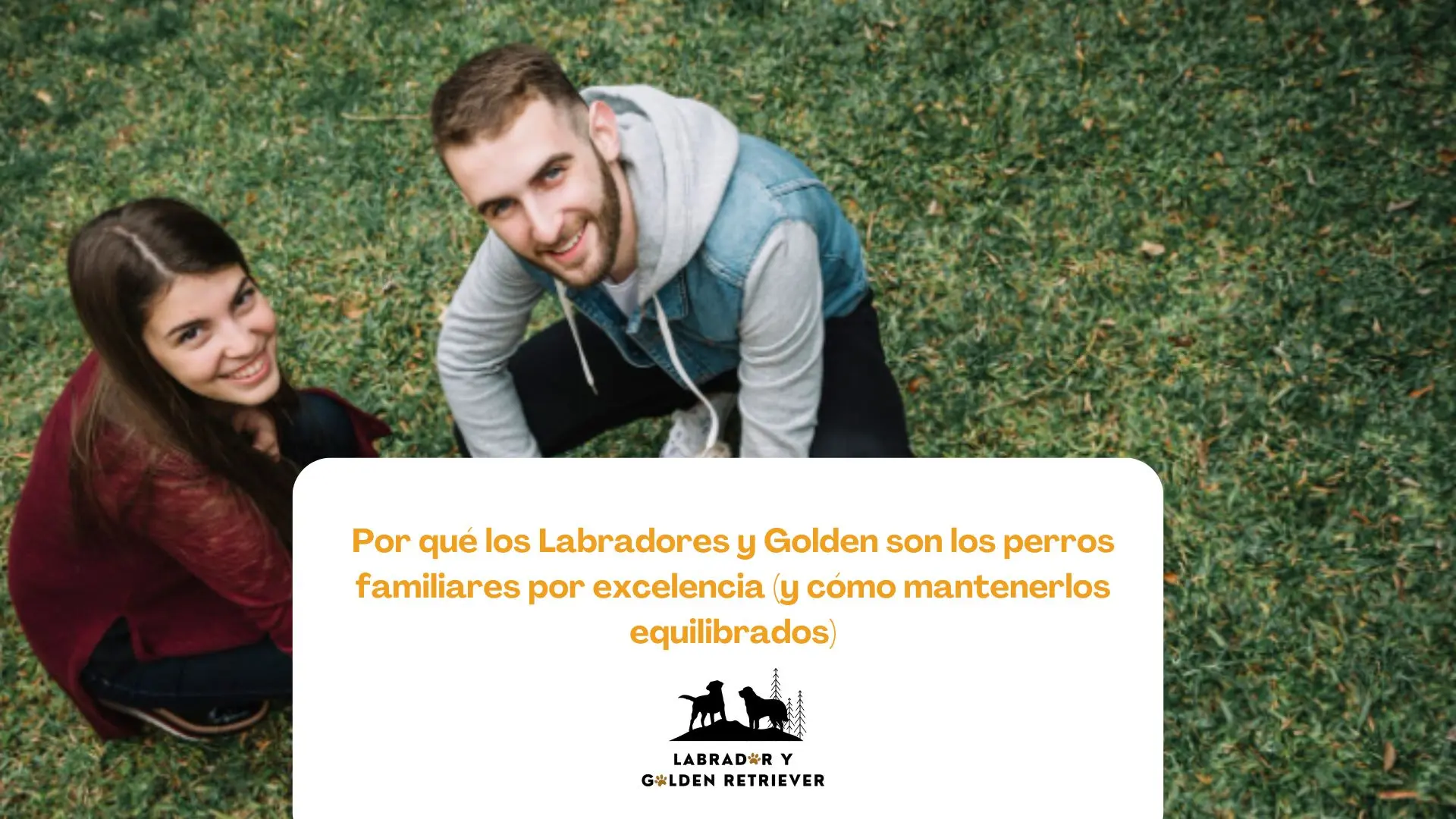 Golden retriever interactuando felizmente con un niño en casa